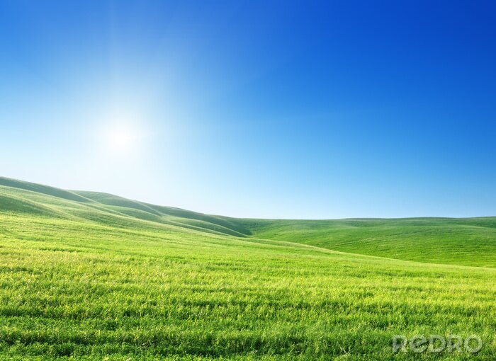 Poster  Ciel, soleil et herbe