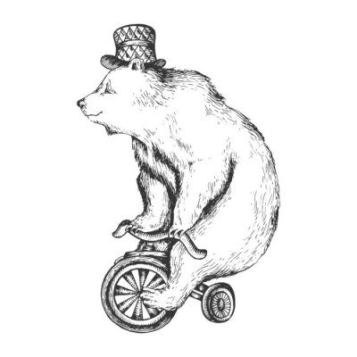 Poster  Circus bear on bicycle sketch engraving vector illustration. Scratch board style imitation. Hand drawn image.