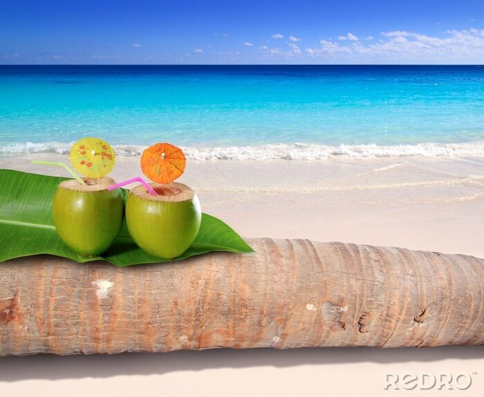 Poster  Cocktails à base de noix de coco au bord de la mer tropicale