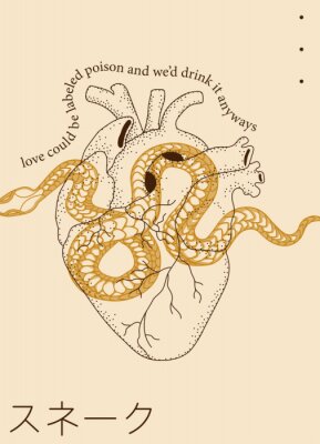 Poster  Coeur d'amour et poison