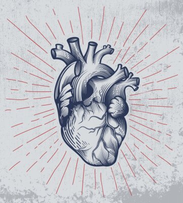 Poster  Cœur humain sur une illustration rétro