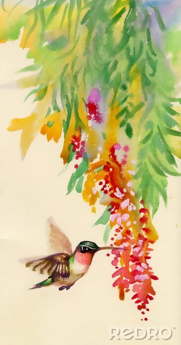Poster  Colibri volant vers des fleurs
