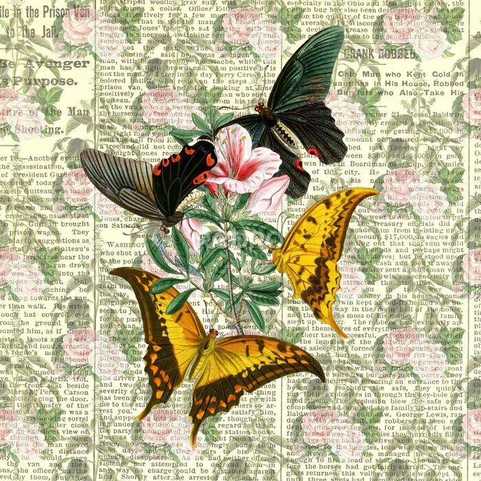 Poster  Collage avec des papillons sur un fond de magazine