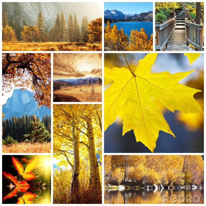 Poster  Collage avec paysage d'automne
