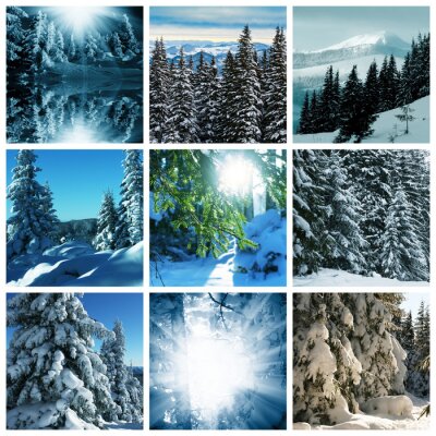 Poster  Collage avec un paysage d'hiver