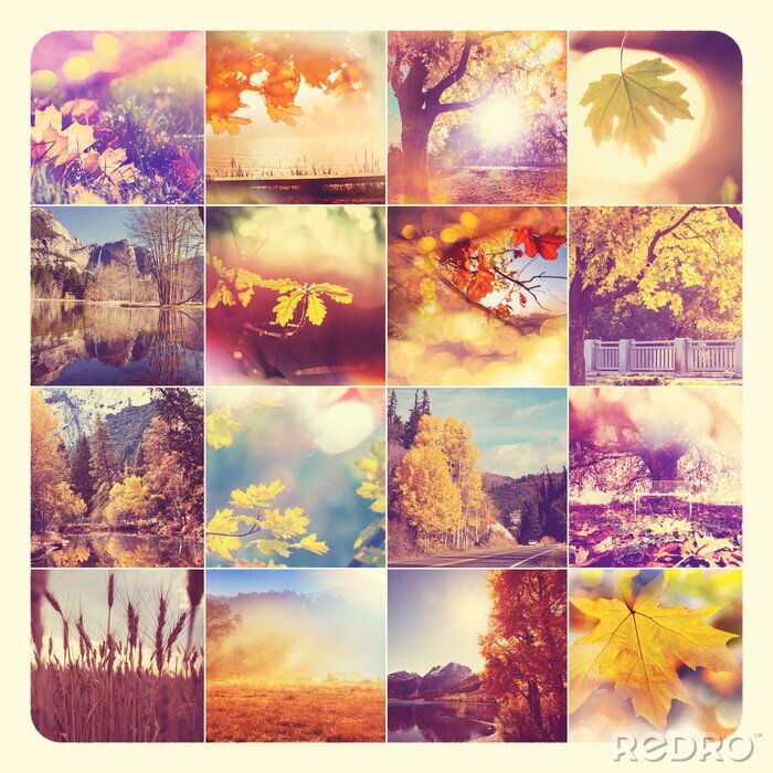 Poster  Collage nature automne