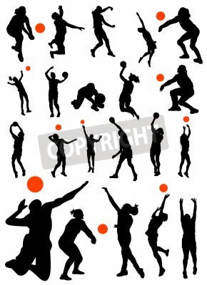Poster  Collection de vecteur de volley-ball
