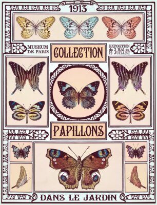 Collection vintage papillons