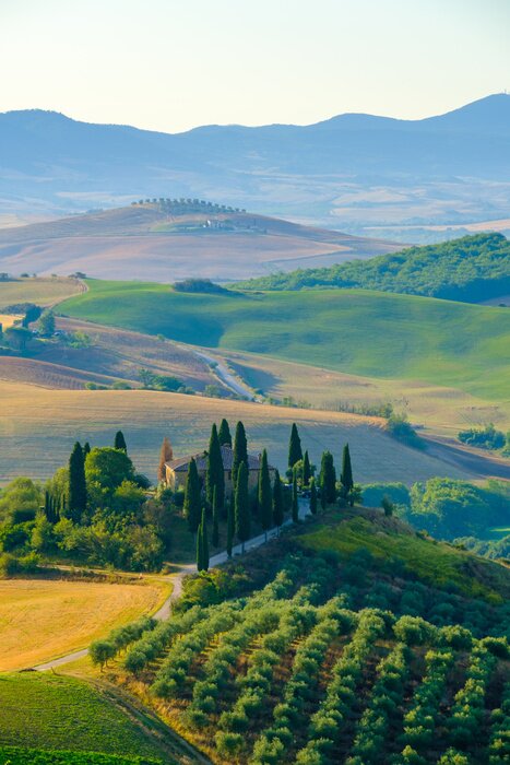 Poster  Collines de Toscane en été