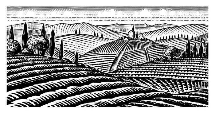 Poster  Collines de Toscane en noir et blanc