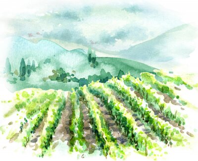 Collines verdoyantes de Toscane et vignoble