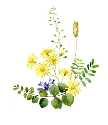 Poster  Composition avec des fleurs jaunes et violettes