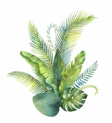 Poster  Composition de bouquet de feuilles tropicales