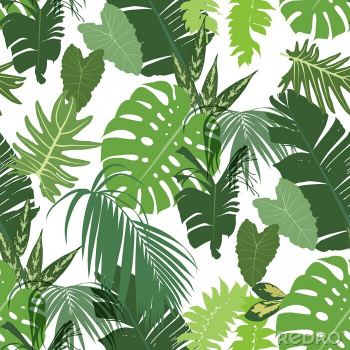 Poster  Composition de feuilles vertes