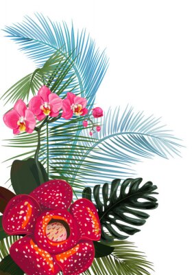 Poster  Composition de fleurs exotiques et de feuilles de monstera et de fougères