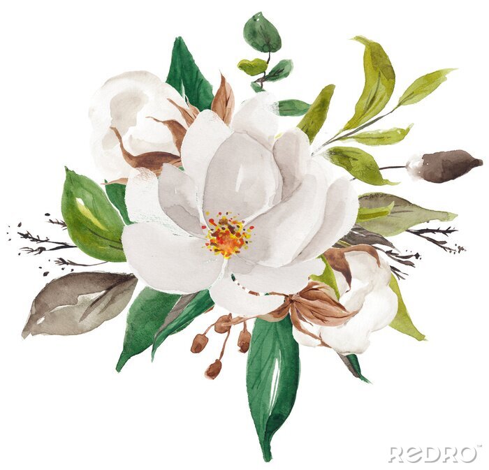 Poster  Composition de magnolias aquarelle avec des feuilles