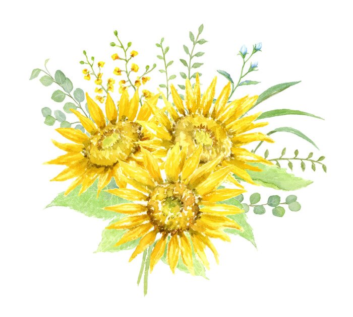 Poster  Composition de tournesols aquarelle