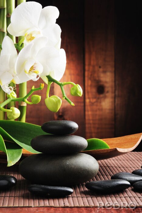 Poster  concept de Spa