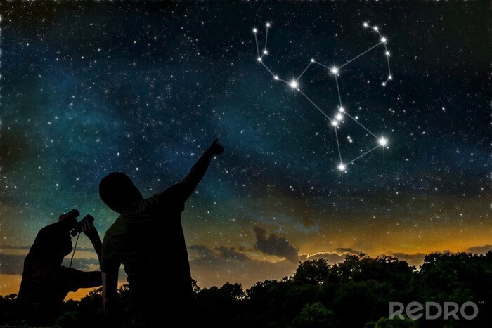Poster  Constellation d'étoiles d'Orion au-dessus de la forêt