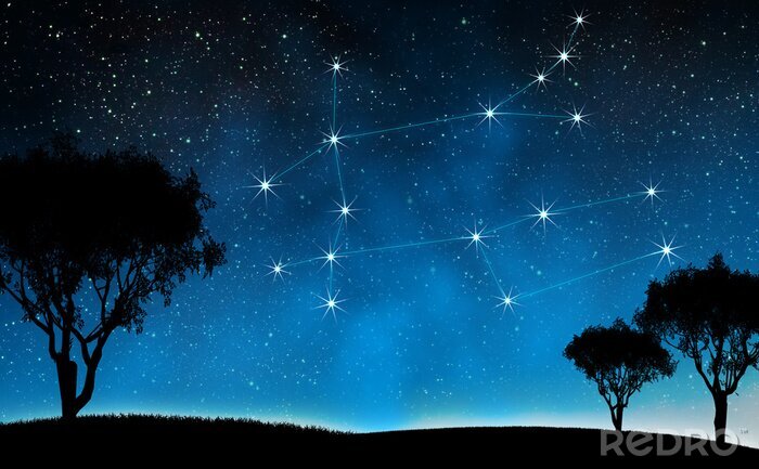 Poster  Constellation d'étoiles dans le signe des Gémeaux
