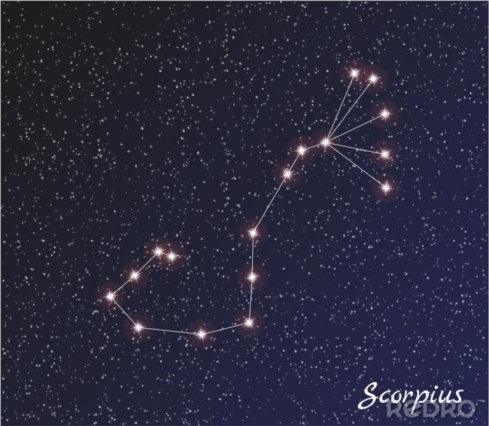 Poster  Constellation du Scorpion