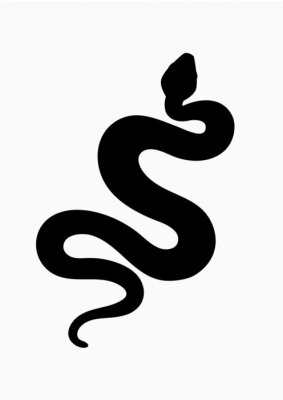 Poster  Contour noir d'un serpent