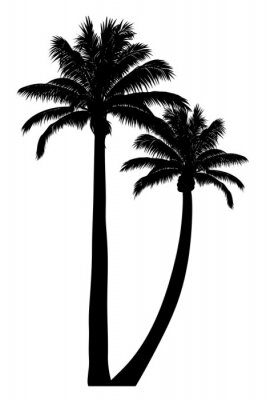 Poster  Contours noirs de palmiers sur fond blanc