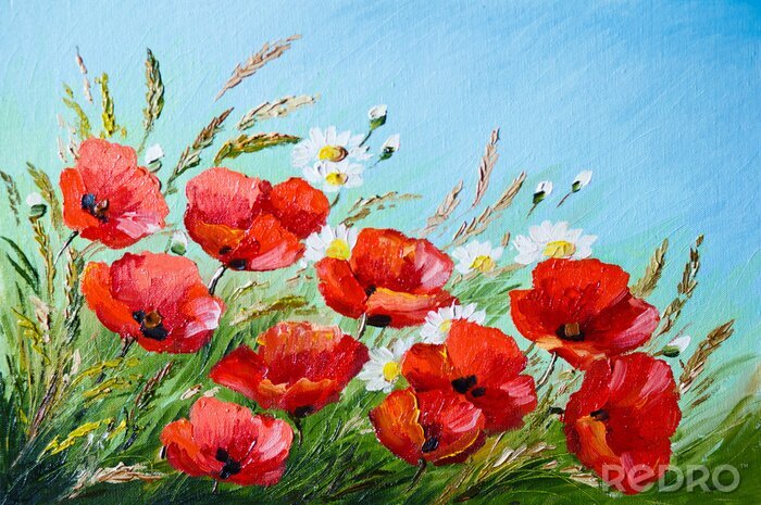 Poster  Coquelicots et plantes dans le pré