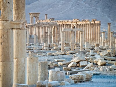 Coucher de soleil à Palmyra