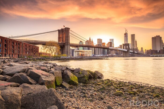 Poster  Coucher de soleil romantique sur le pont de Brooklyn