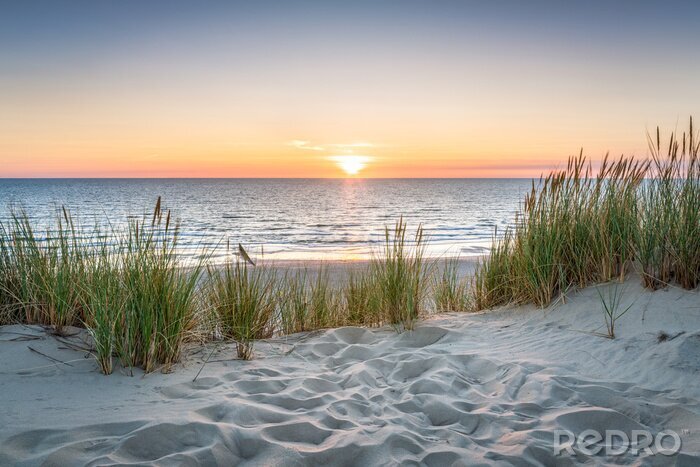 Poster  Coucher de soleil sur la mer et plage de sable