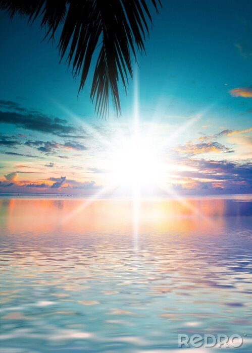 Poster  Coucher de soleil vu de la plage