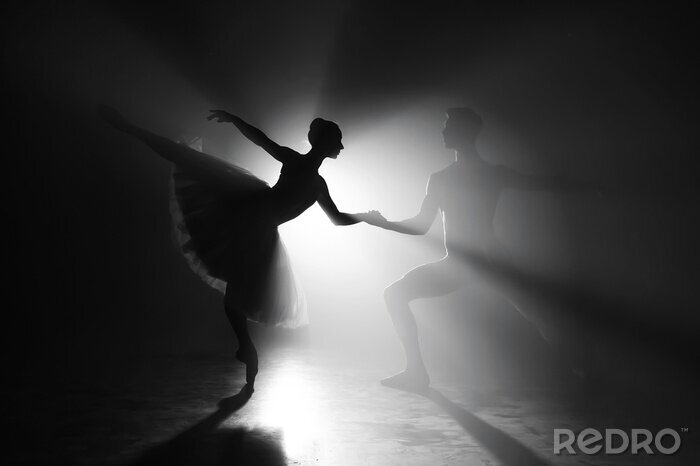 Poster  Couple artistique danse ballet