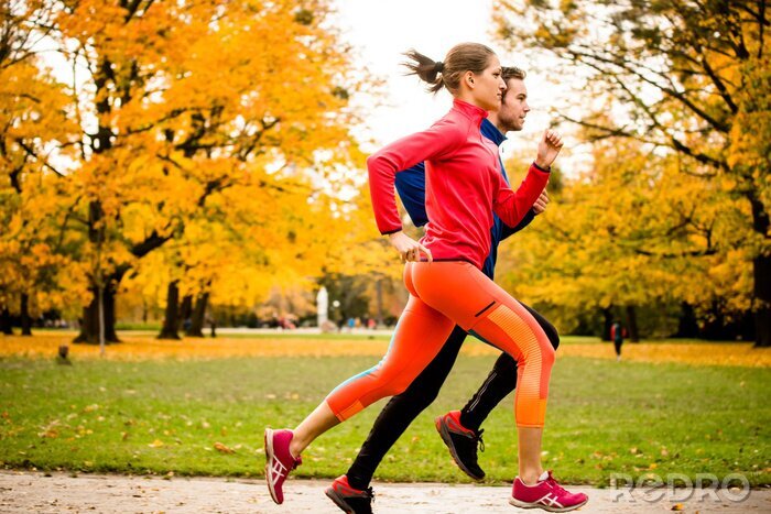 Poster  Couple de jogging à l'automne la nature