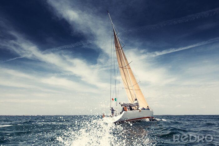 Poster  Croisière et vacances