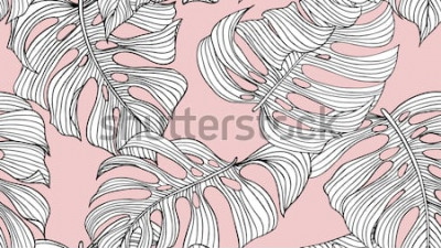 Poster  Croquis d'un monstera sur fond rose