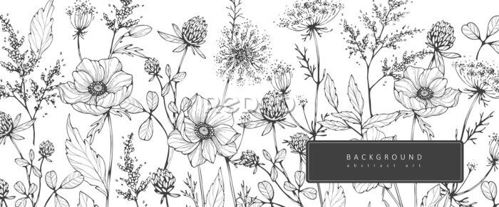 Poster  Croquis d'une prairie au printemps