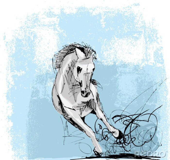 Poster  Croquis de cheval sur fond bleu