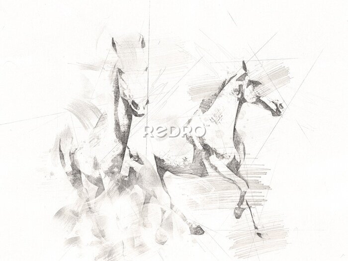 Poster  Croquis de chevaux de course