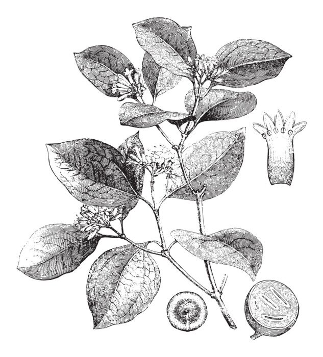 Poster  Croquis noir et blanc