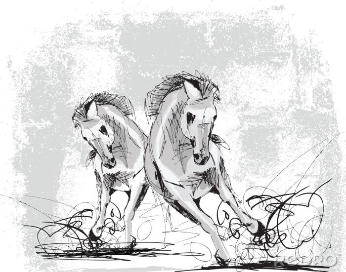 Poster  Croquis représentant les chevaux en mouvement