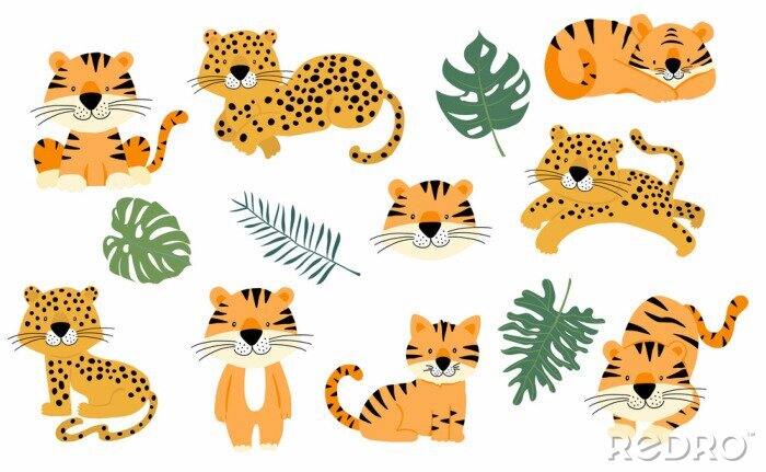 Poster  Cute animal object collection with leopard,tiger. illustration for icon,logo,sticker,printable