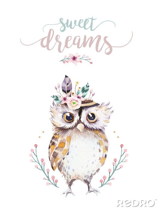 Poster  Cute bohemian baby owl animal for kindergarten, woodland nursery isolated decoration forest owls illustration for children forest animals pattern. Watercolor hand drawn boho set