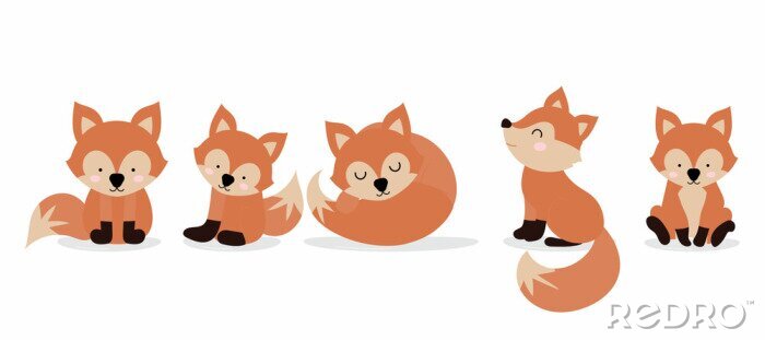 Poster  Cute fox character are standing,sitting and sleeping. Vector illustration for birthday invitation,postcard and sticker.Editable element