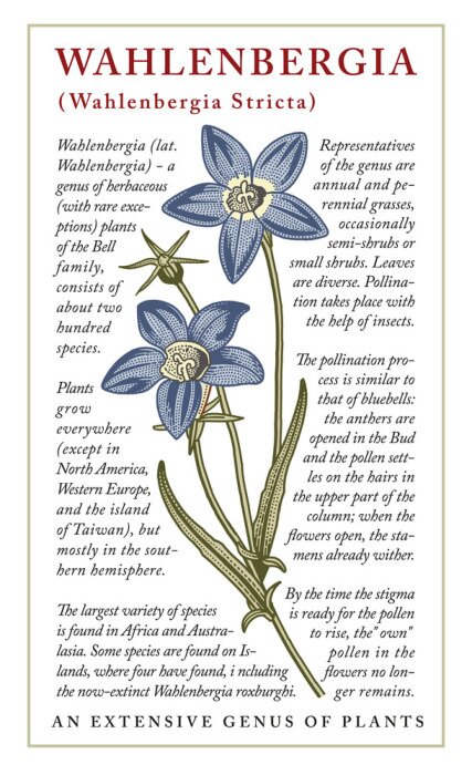 Poster  Cuvée végétale de valenberg