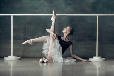 Poster  Danse ballet ballerine pose pendant l'entraînement