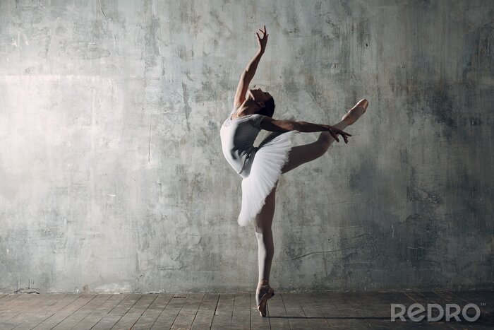 Poster  Danseur de ballet de danseur avec la main levée