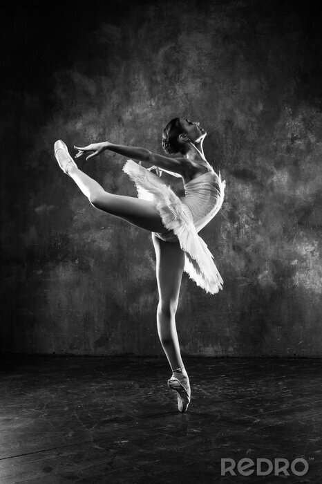 Poster  Danseuse de ballet