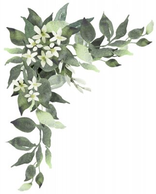 Poster  Décoration aquarelle de feuilles et de fleurs délicates