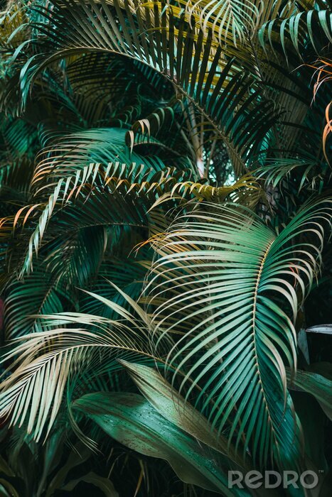 Poster  Deep dark green palm leaves pattern. Vertical, creative layout